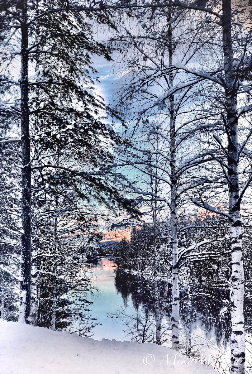 Julas - Last Xmas ❄️
#photooftheday #norway_photolovers #mobilephotography #photoediting #nature #naturephotography #nature_brilliance #sky #humbleness #foto #visitnorway #norway #snow #forrest #mountains #nature #naturetherapy #naturehippys_ #countryside #norwegen #norwaynature