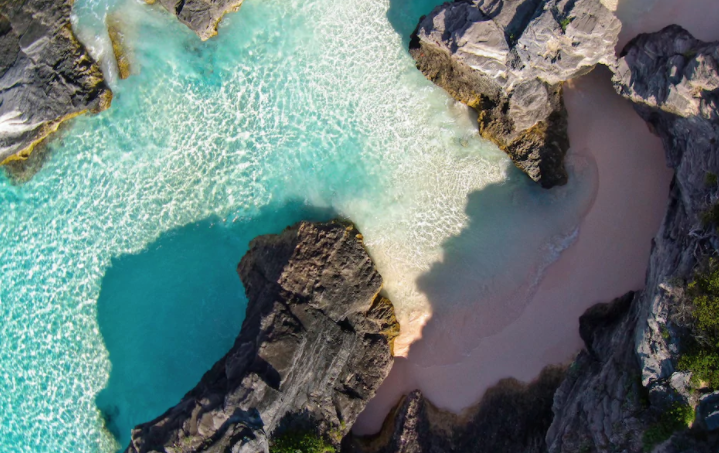 discoverbermuda's tweet photo. Why Bermuda is greatest place to be right now

https://t.co/HKUbCeQ0uK https://t.co/IcPW7Z5pzd