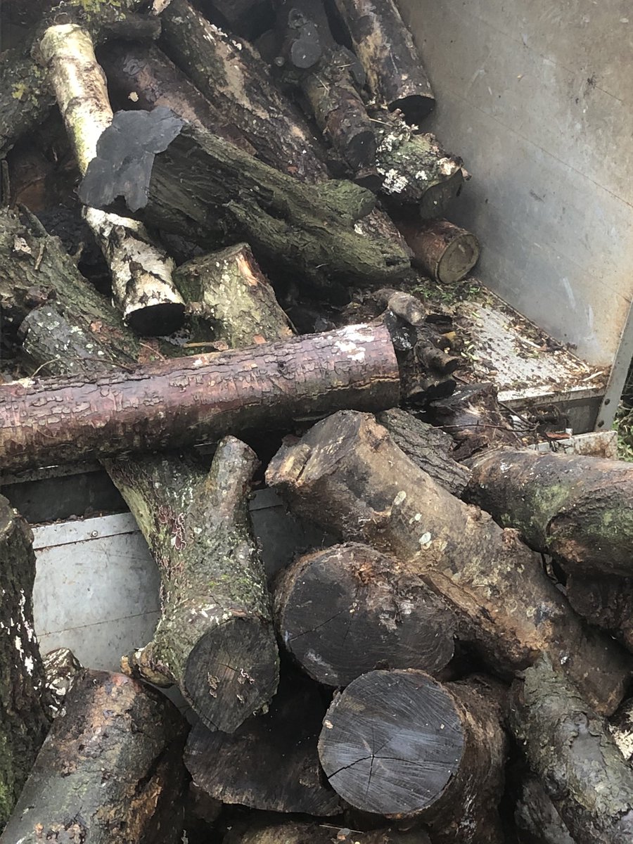 Bring me pine logs hither