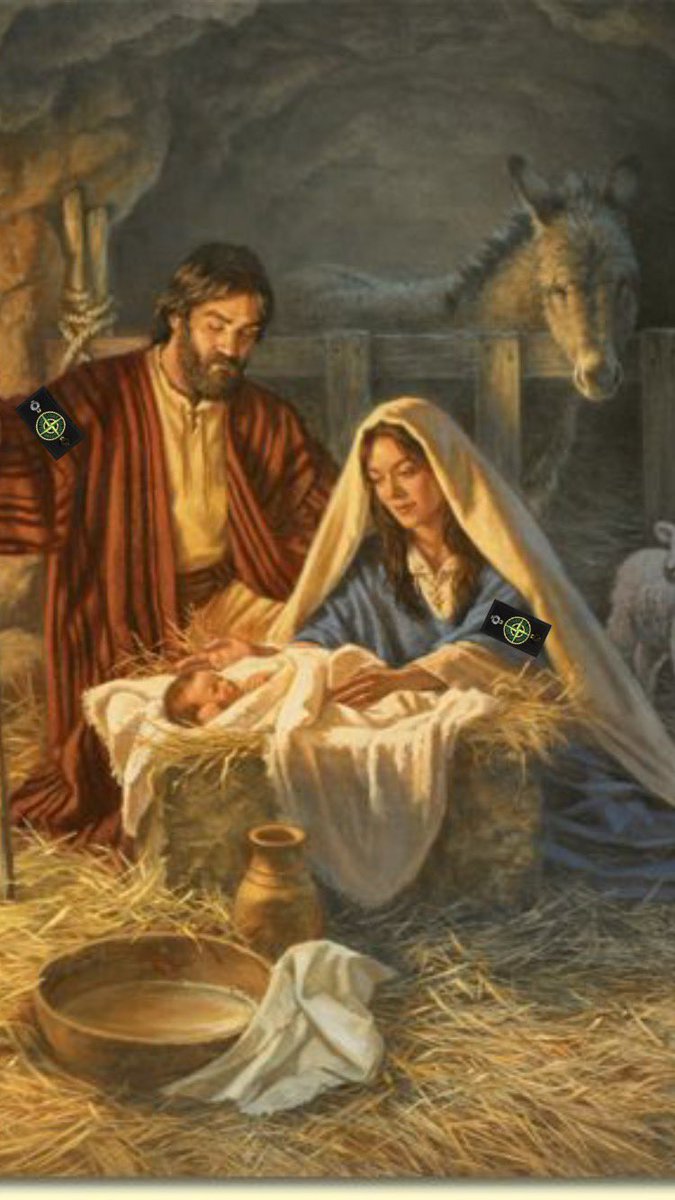 alexd0bson00's tweet photo. (A) in a Manger https://t.co/n1nVVvtWaw