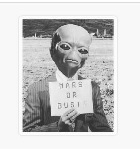 RebelinmaxQ's tweet photo. @elonmusk Go Starship. 🚀💙🚀💙🚀💙🚀💙 https://t.co/IrsjyA86Nx