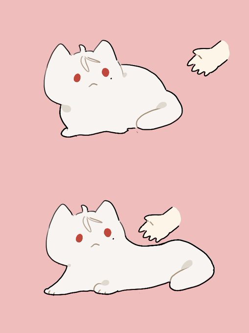 「寝そべり 白い猫」のTwitter画像/イラスト(新着)｜6ページ目