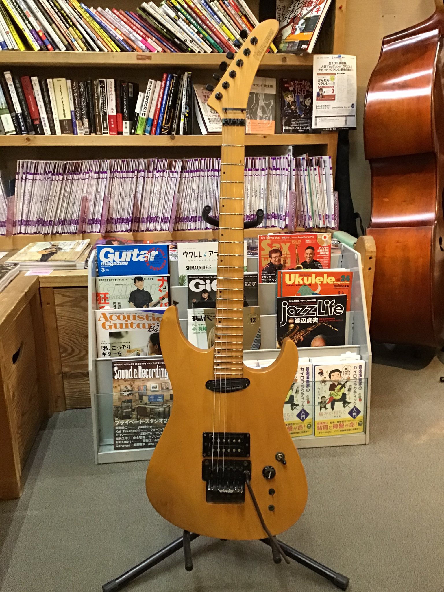 Fernandes BH-120S