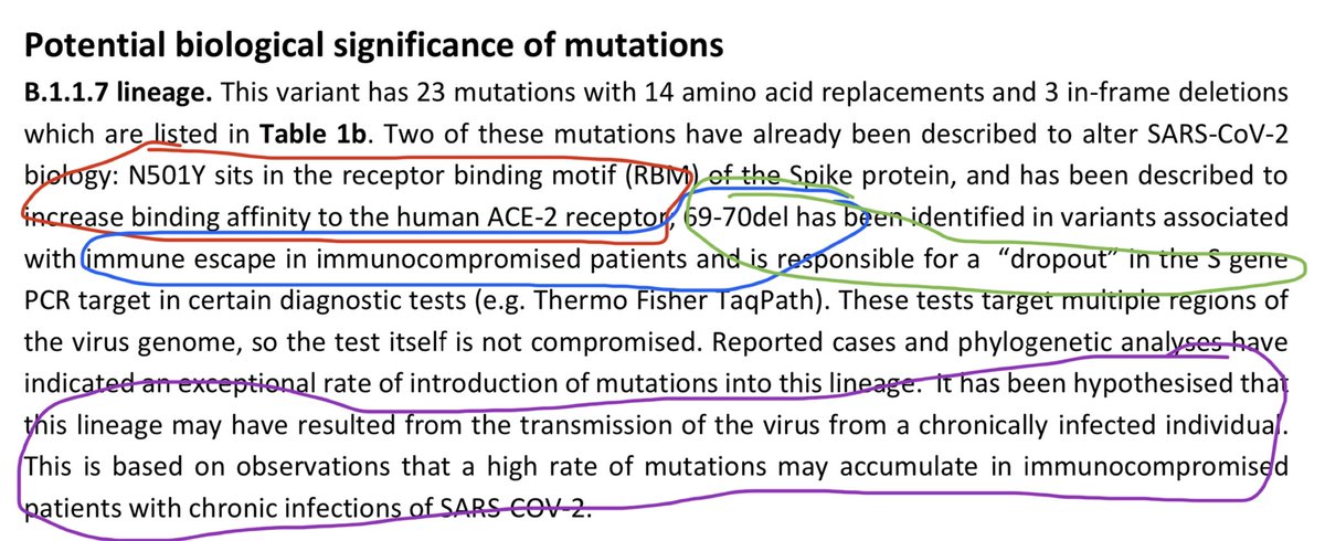 BIOLOGICAL SIGNIFICANCE B.1.1.7  variant  #SARSCoV2: Read these 4 key circled sentences from  @CovidGenomicsUK on why the mutations are worrisome. Experts don’t think it will strongly affect vaccines, but some say maybe slightly. See  for details.  https://www.cogconsortium.uk/wp-content/uploads/2020/12/Report-1_COG-UK_20-December-2020_SARS-CoV-2-Mutations_final_updated2.pdf