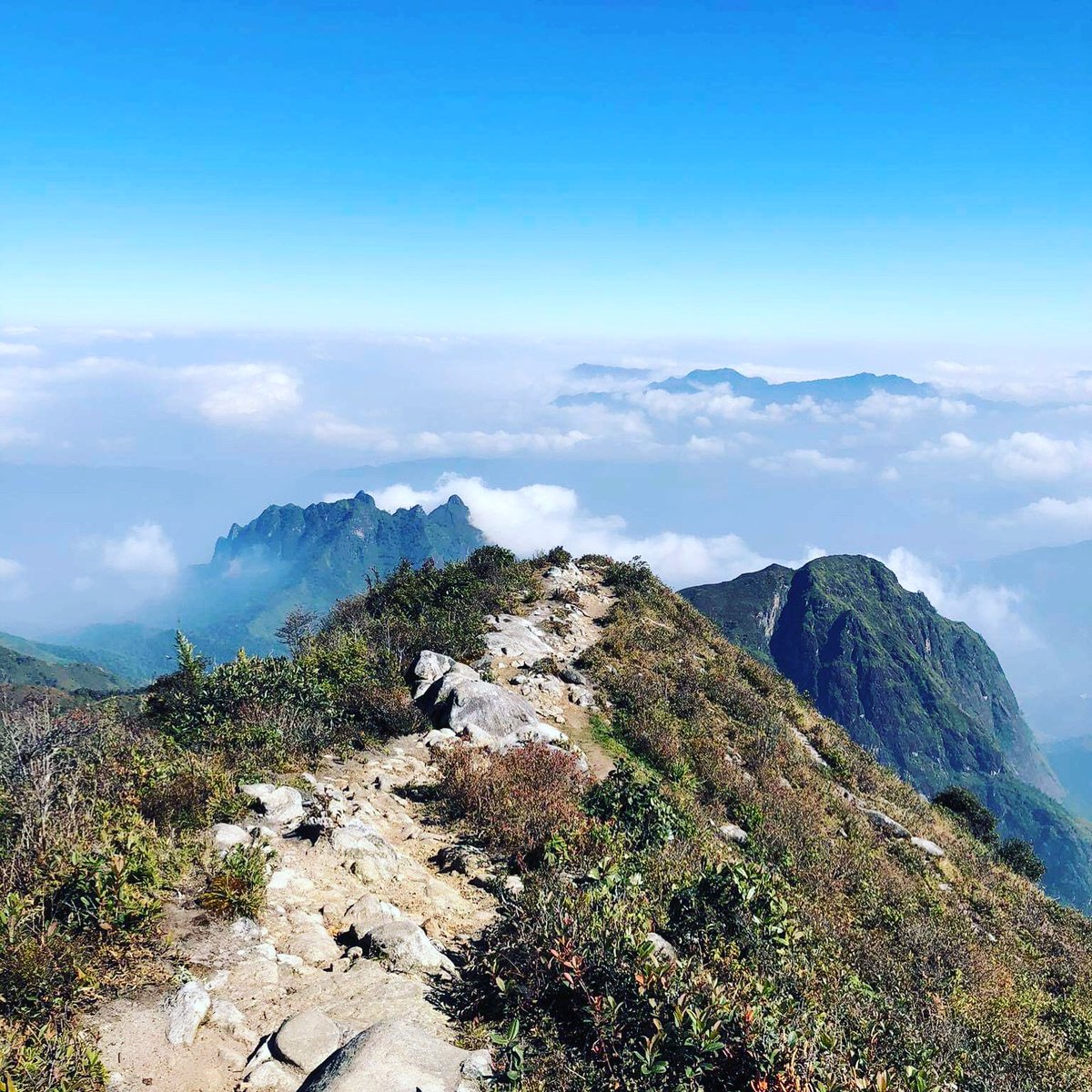 vnenduro's tweet photo. Real adventure company in Vietnam
#trekking 
#adventure
#vietnam https://t.co/2Bb72l8d8d