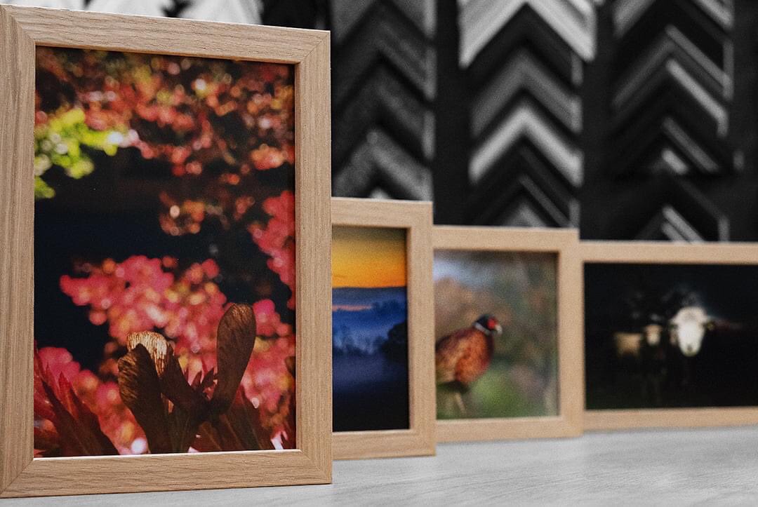 TheMasterframer's tweet image. 🖼️🏆 We were so blown away by all of the fantastic entries we had to our photography competition that we felt it was only right that everybody should be a winner! So as a final thank you, we have framed all of our shortlist entries, and don't they all look fantastic together? 🏆