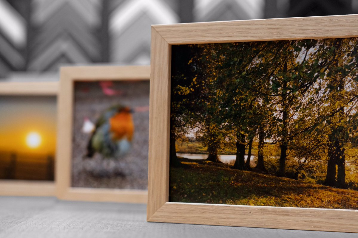TheMasterframer's tweet image. 🖼️🏆 We were so blown away by all of the fantastic entries we had to our photography competition that we felt it was only right that everybody should be a winner! So as a final thank you, we have framed all of our shortlist entries, and don't they all look fantastic together? 🏆