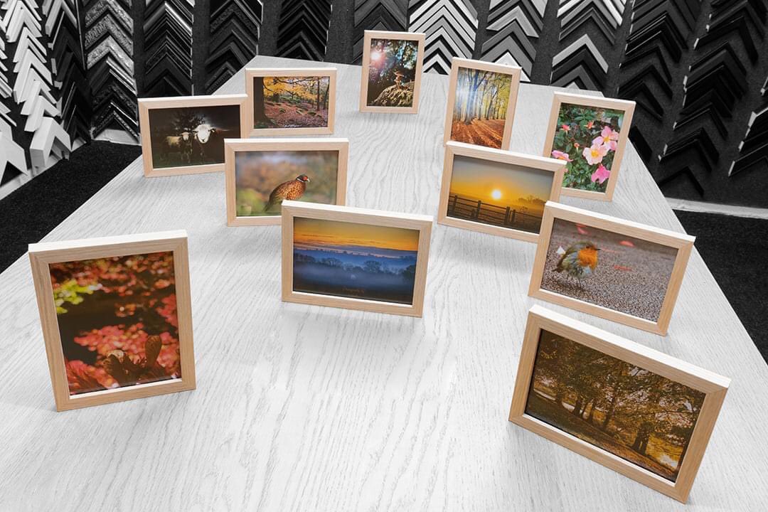 TheMasterframer's tweet image. 🖼️🏆 We were so blown away by all of the fantastic entries we had to our photography competition that we felt it was only right that everybody should be a winner! So as a final thank you, we have framed all of our shortlist entries, and don't they all look fantastic together? 🏆