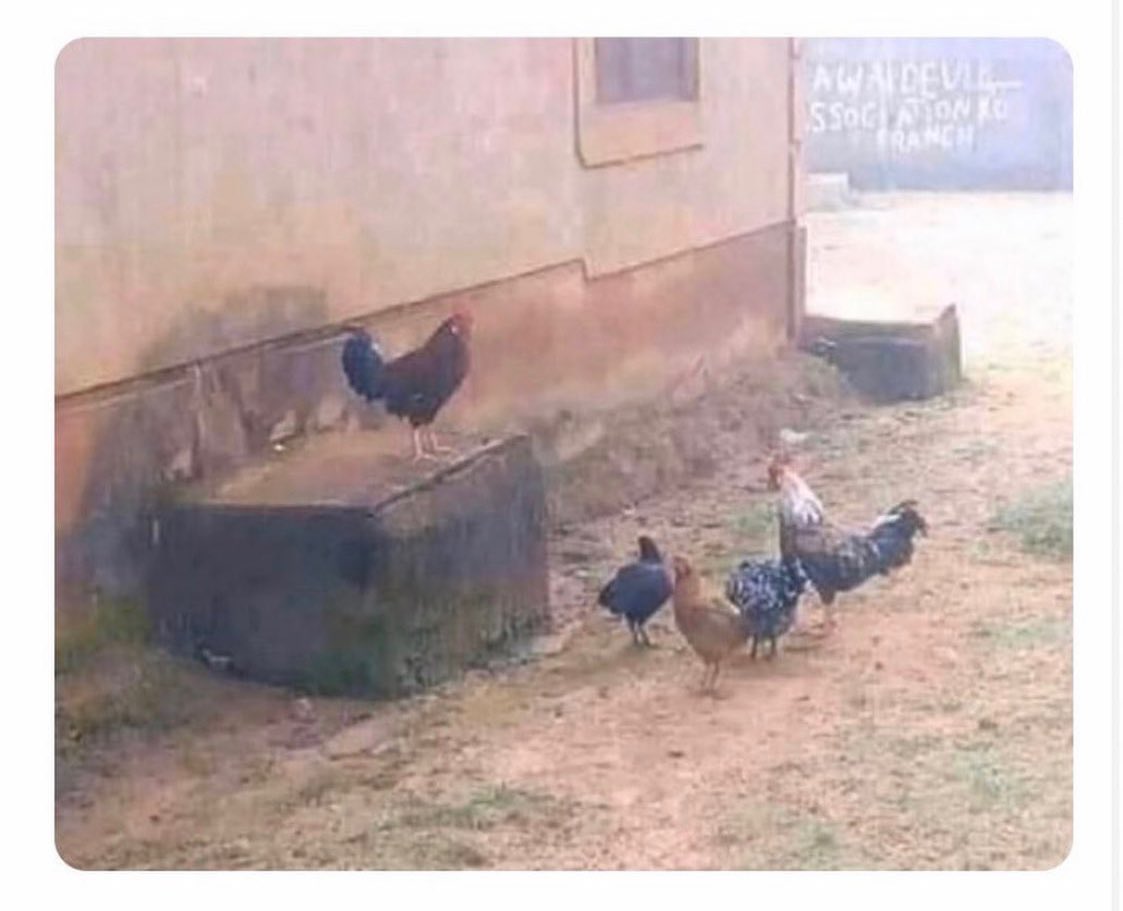 Az sayıdaki takipçilerime seslenirken ben