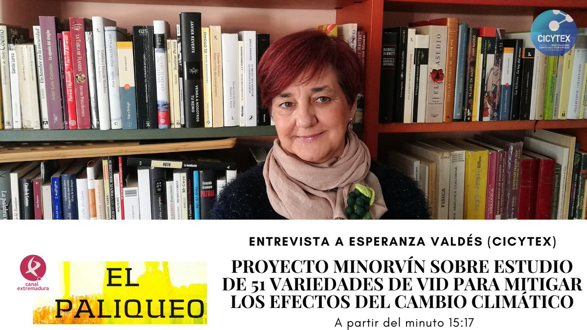 CICYTEX's tweet photo. El programa📻 El Paliqueo de @cextremadura ha entrevistado a nuestra investigadora Esperanza Valdés para hablar del Proyecto #MINORVIN q estudia 51 variedades de vid🍇para mitigar los efectos del cambio climático🌍.
Podéis oírla dsd min.15:17 en ⬇️
https://t.co/DJ14XMDJAU https://t.co/4hd7Rcejpz