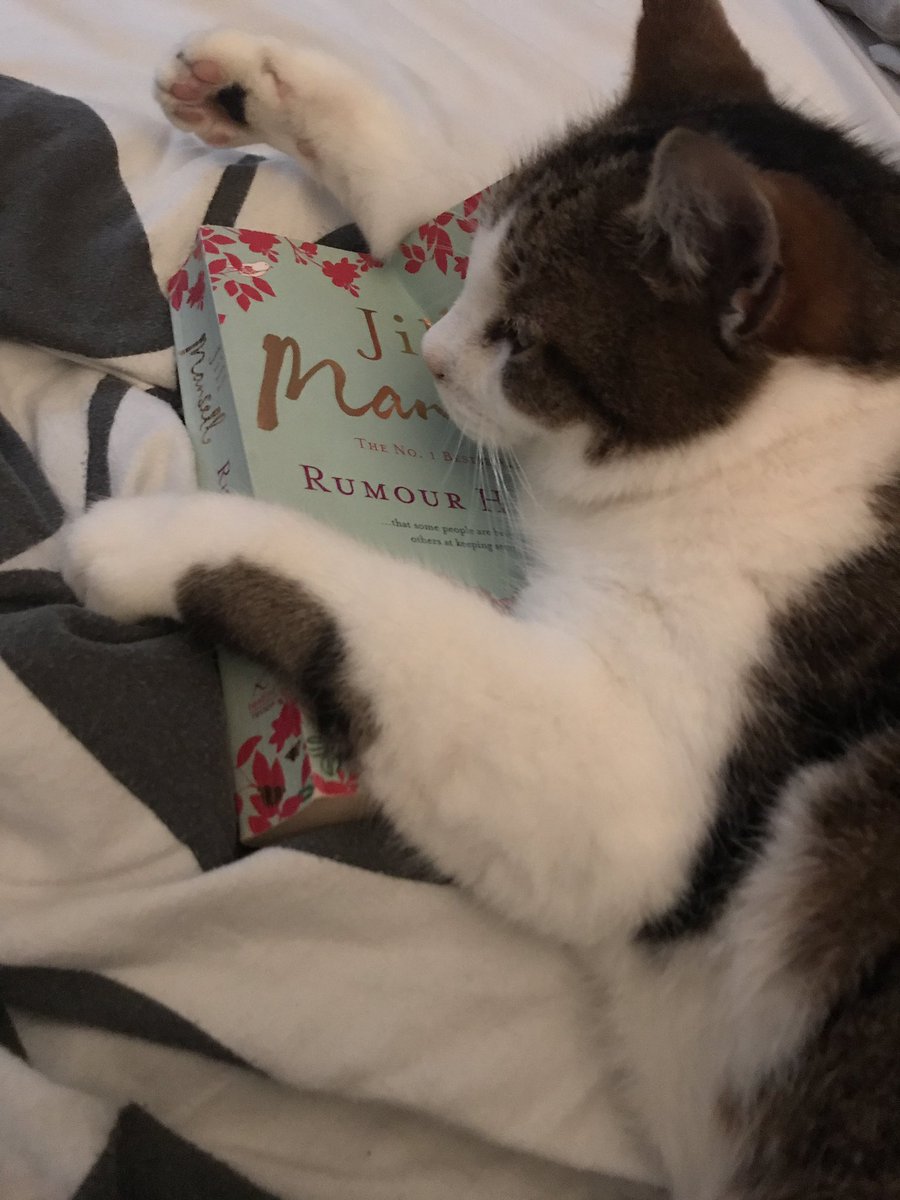So much for my plans of a lazy morning, having a cuppa in bed while finishing my <a href="/JillMansell/">Jill Mansell ✨🥂💛📙💛🥂✨</a> book. 🐈 📚