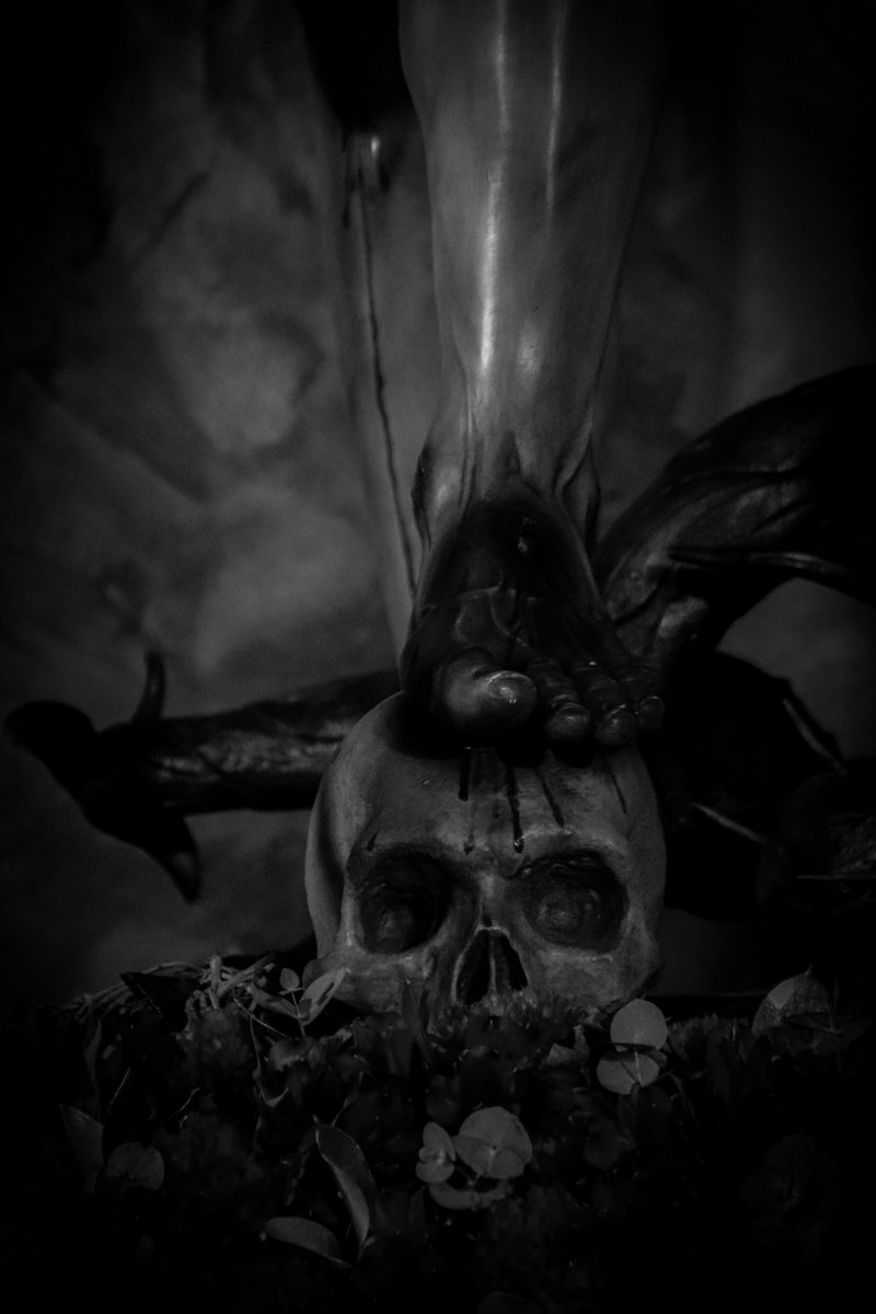 JaimeSalvador11's tweet photo. "Mors Mortem Superavit"
#semanasantasevilla #semanasantasevillana #semanasanta #sevilla #hermandaddelsol #plantinar #bandasol #varondedolores #canon #canonphoto #canonistasespaña #canonistaporsiempre #canon_photos #canon77d
@bandasol @hdaddelsol https://t.co/4YzmOFtfOr