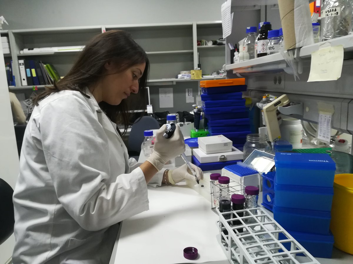 FProgresoysalud's tweet photo. Nuestra compañera @CharoCobano ha entrevistado para @UAM_Madrid a la investigadora @VivianCapilla que trata de eliminar las secuelas de la #radioterapia en el #cáncer de cerebro infantil. En #investigación "hay que invertir mucho esfuerzo".

👉https://t.co/bcDc5Seho9 https://t.co/SngztRdBY2