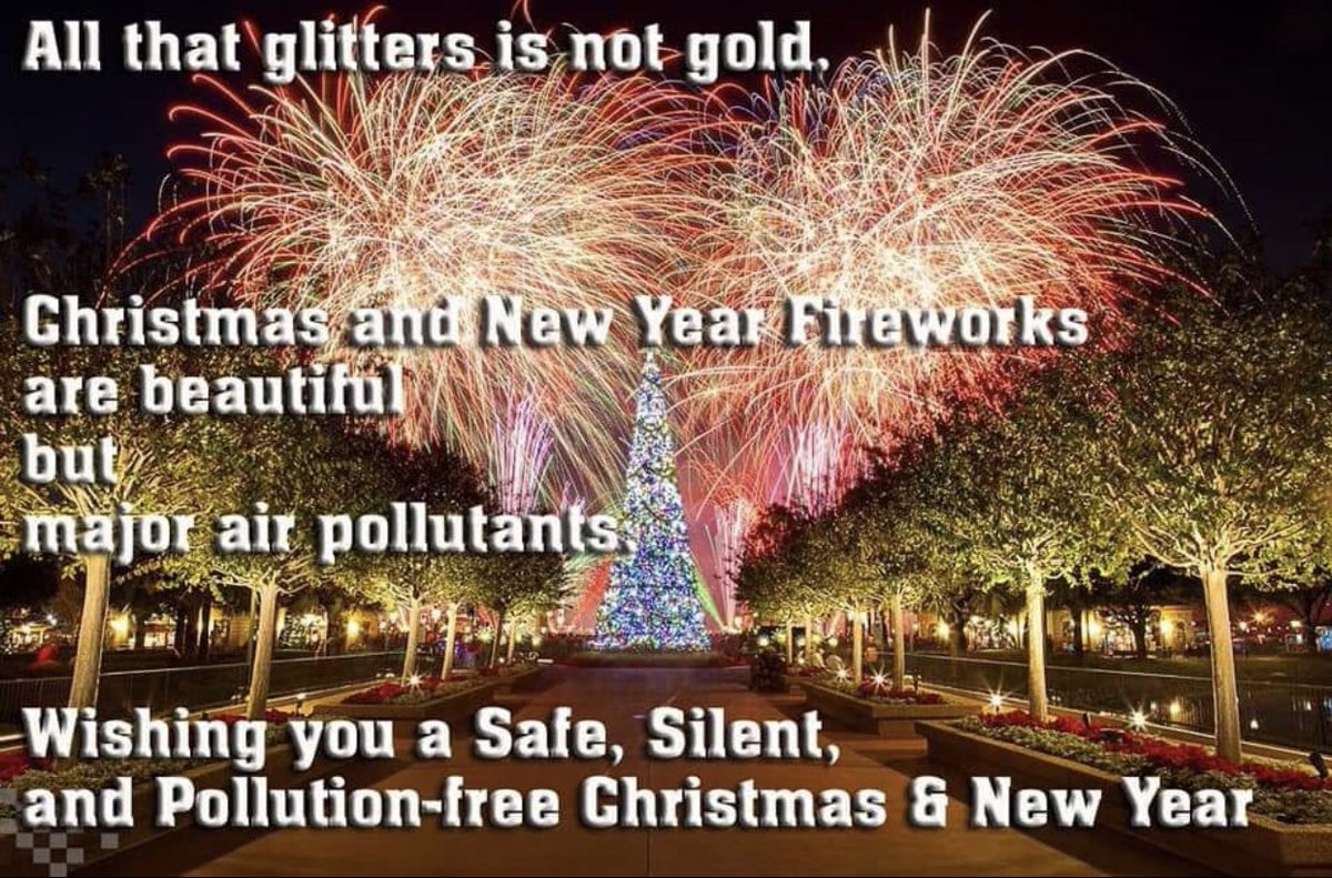 2). Enjoy  #EcoFriendlyChristmas.Don't burst crackers @SaveEnvironment The air and noise pollution's that are caused by fire crackers can affect people with disorders related to heart, respiratory and nervous system.