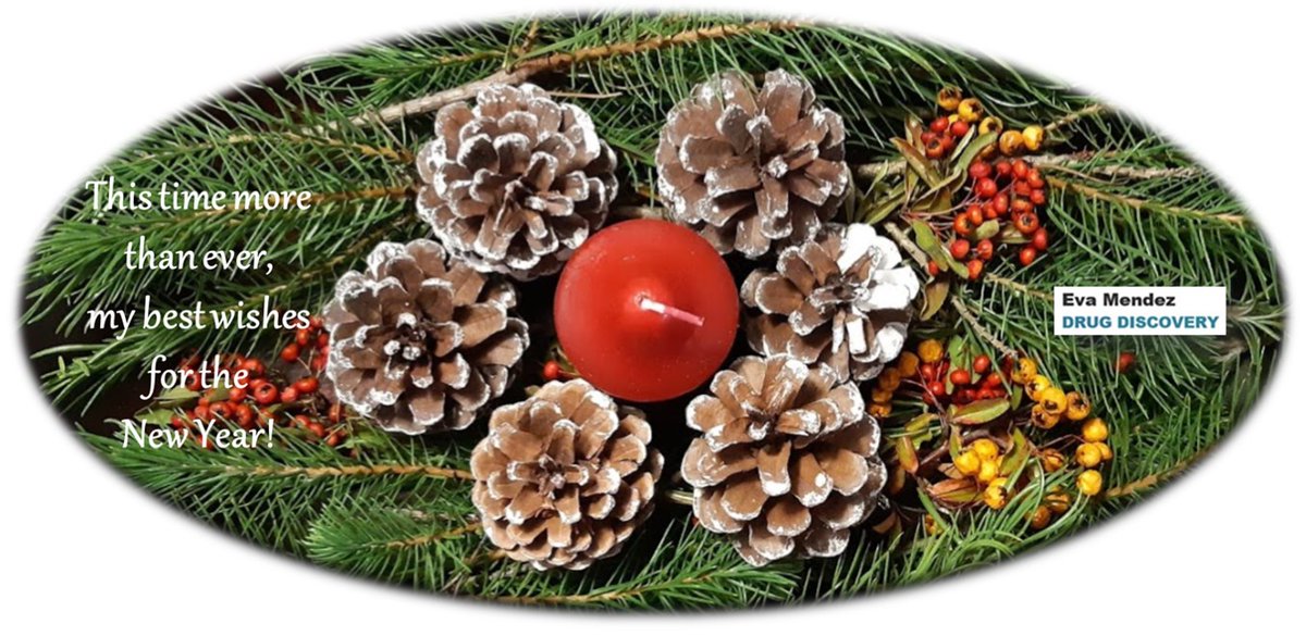 After such difficult year, I wish you all a Merry Christmas and a Happy and healhy 2021!