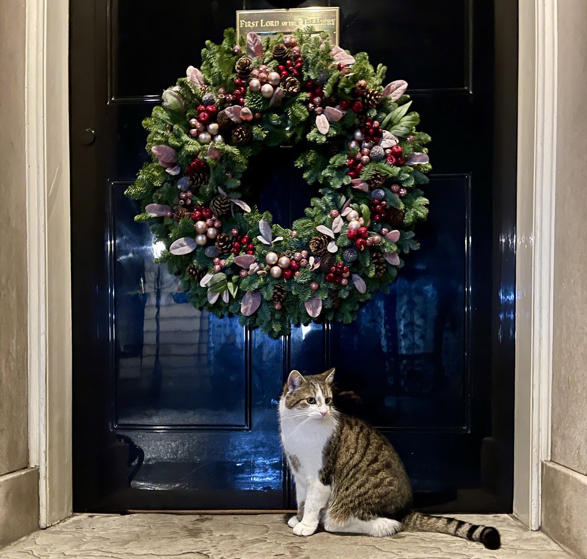 My pal <a href="/NickDixonITV/">Nick Dixon</a> has taken the most Christmassy Downing Street picture ever: