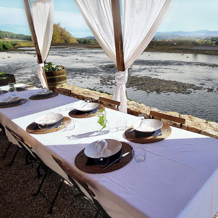 Feliços de veure com el nostre mar de vinyes s’ha fet realitat! 🌊

Moltes gràcies a tot l’equip per aquest magnífic resultat, és tal com l’havíem somiat.

Us esperem a casa nostra amb aquestes vistes mediterrànies espectaculars i molt de Cava!🥂

#Unmardevinyes #CavaBerdié