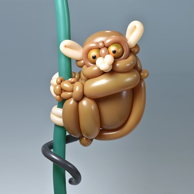 isopresso's tweet photo. バルーンでメガネザル

#ballonart #tarsier #バルーンアート https://t.co/AqVW39zuYa