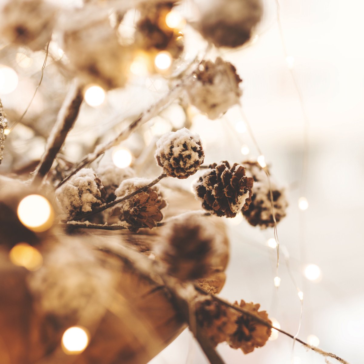 Els Germans Jovani us desitgem un molt bon Nadal entre bombolles! 😉

Salut, cava i torrons! 🥂
.
.
#CavaBerdie #GermansJovani #JovaniVins #Penedes #CavaLovers #Navidad2020 #Nadal2020