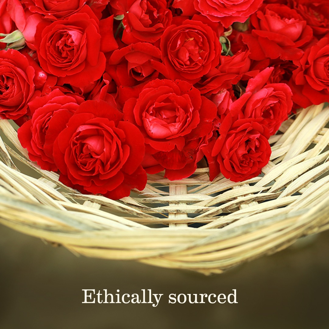 SoulTree_In's tweet photo. Organically farmed and carefully nurtured in the pristine environs of Uttarakhand, the roses that find their way into our formulations have incredible balancing properties. 

#SoulTree #Rootedingoodness #truthinside #AyurvedawithSoulTree https://t.co/78n0UeEKgl