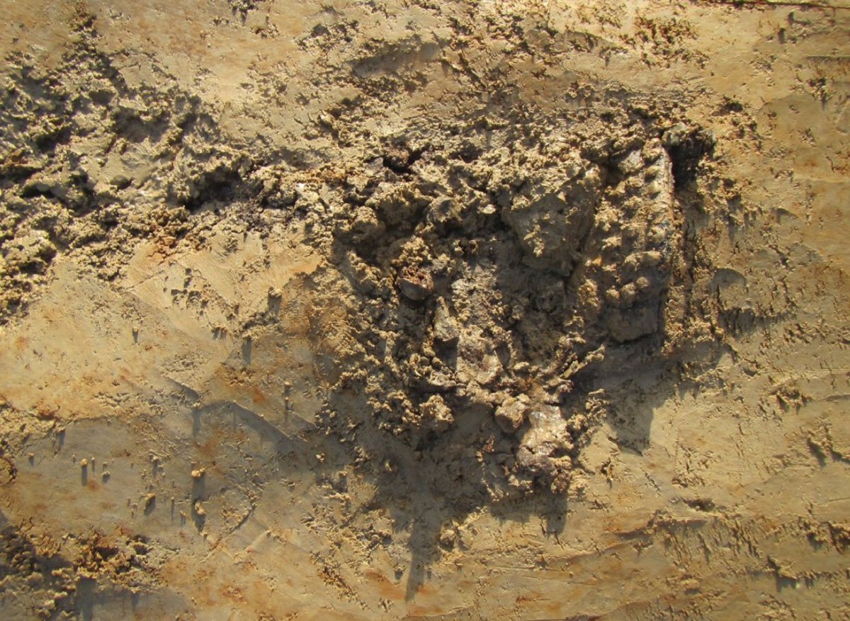 1/ In many cases there’s not enough evidence to identify the recovered men. But nevertheless it remains important to research the circumstances of their death, from a historical perspective and definitely in their remembrance.One of those histories was discovered N of Bikschote