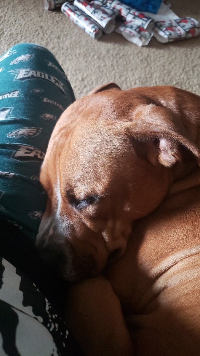 290_570's tweet photo. She stay by my side https://t.co/F4N0iqQFQJ