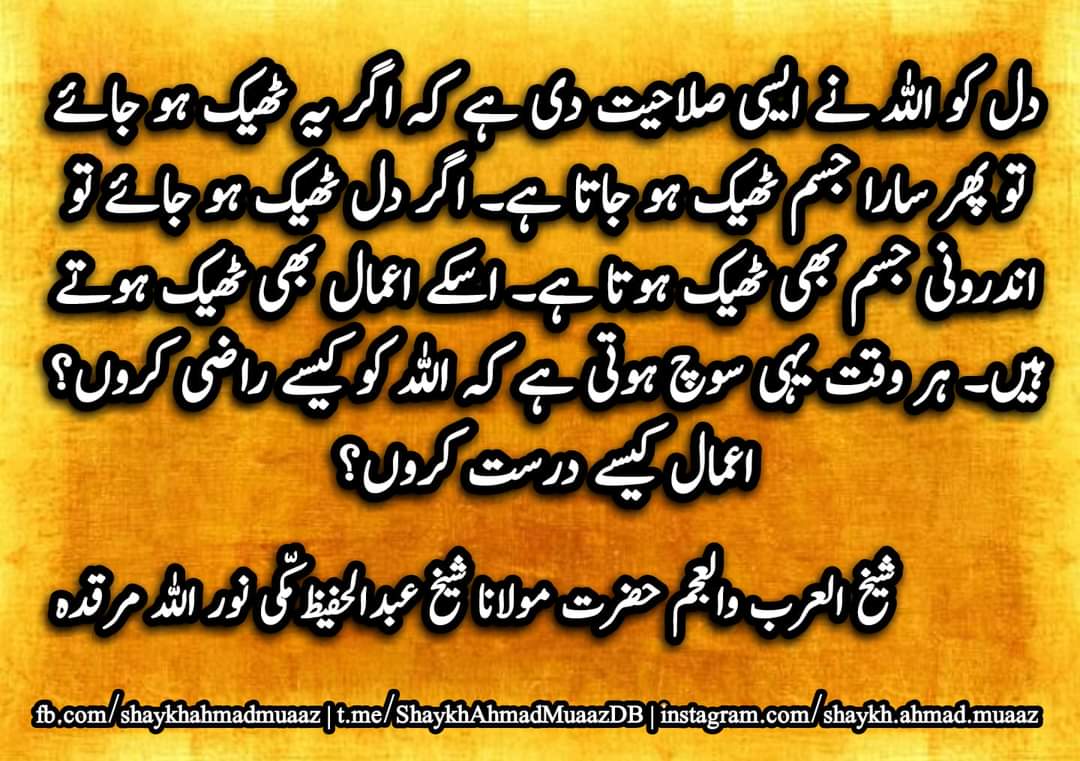 Waseem__Naeem's tweet photo. #Dil Ko #Allah Ne Aesi #Salahiyat Di Hai Ki Agar Ye Thik Ho jaye To Fir Sara #Jism Thik Ho Jata Hai.Agar #Dil Ho Jaye To #Androoni_Jism Bhi Thik Ho Jata Hai.Uske #A'amal Bhi Thik Ho Jate Hain.Harr Waqt Yahi Soch Hoti Hai Ki #Allah Ko kese #Raazi Karu.? A'amal Kese #Darust Karu.? https://t.co/Bj6xFDdHwq