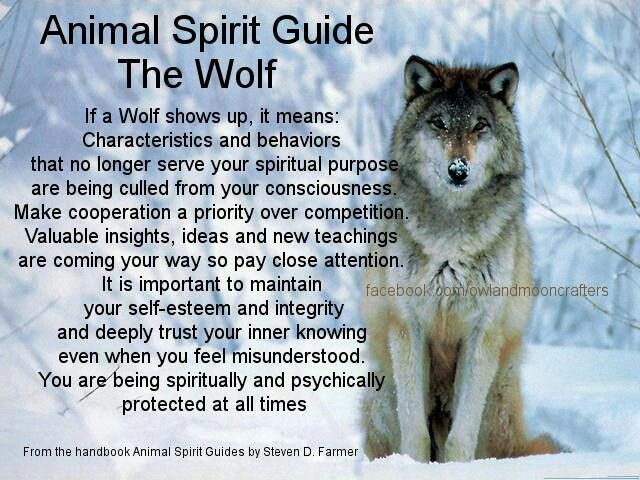 HHMU_Banksia's tweet photo. #Claws4Thought
#Wolf #Gaurdian #Guide
#WiseOneLookingForward
#RightThereByYourSide
#Gentle IS #ThisGiant
#Protector #Good & #Kind
#SomeTimesHowls2MotherMoon
#BetterFriend you could not find...
#TY4Sharing @EarthAngelPatr1
@Shaunstorey6 @redfeatherheat1
*** 17 *** https://t.co/uqdhYMT754