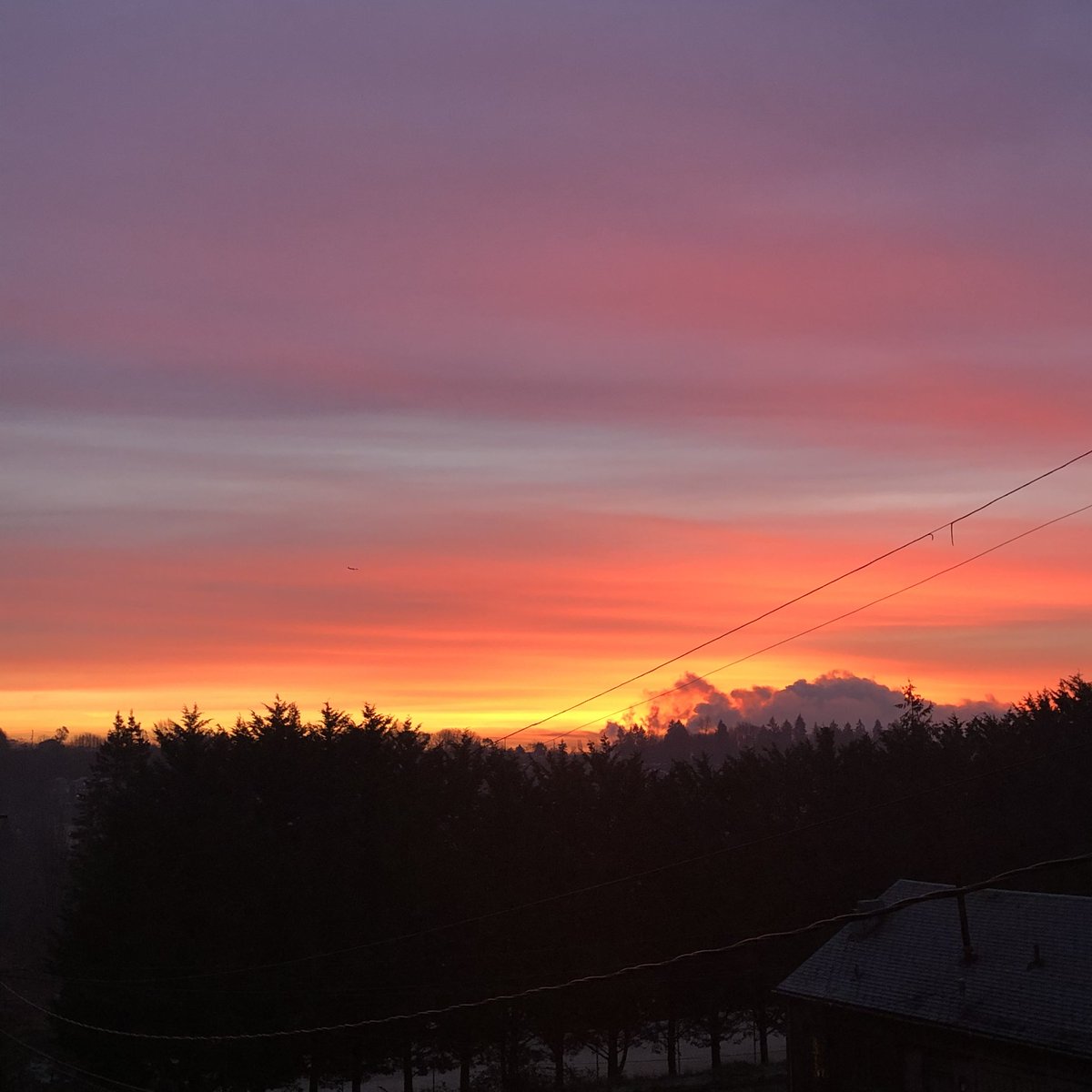 WebDevGirl1's tweet photo. This morning’s sunrise was gorgeous. Slipping and sliding in the black ice with the dog was not so gorgeous. https://t.co/S1WhHzFHeE