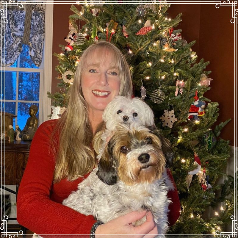 Sheridamon's tweet photo. End of the Year Newsletter - https://t.co/t4pFjFBt8F https://t.co/oWxY6cOuvb