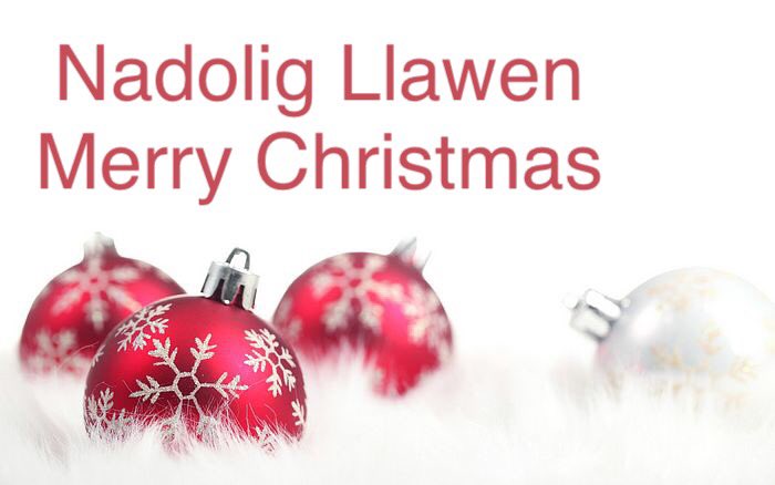 ORIAU AGOR NADOLIG A’R FLWYDDYN NEWYDD 

Byddwn as gau o 5:00yp ar y 23ain o Ragfyr 2020 tan 9:00yb ar y 4ydd o Ionawr 2021

Cyfarchion y tymor a dymuniadau gorau ar gyfer 2021 iachus a llewyrchus