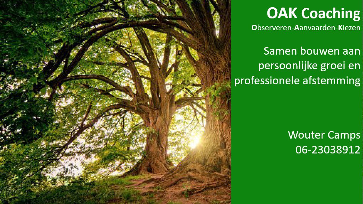 Wouter Camps (@woutercamps) on Twitter photo 