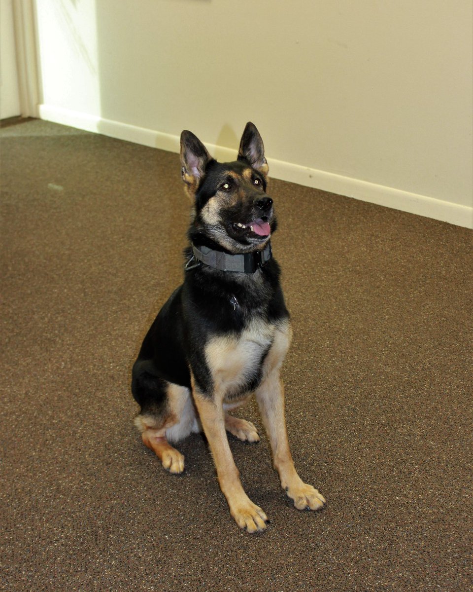 Pasco Sheriff (@pascosheriff) on Twitter photo Take a moment to smile! Take a moment to smile!