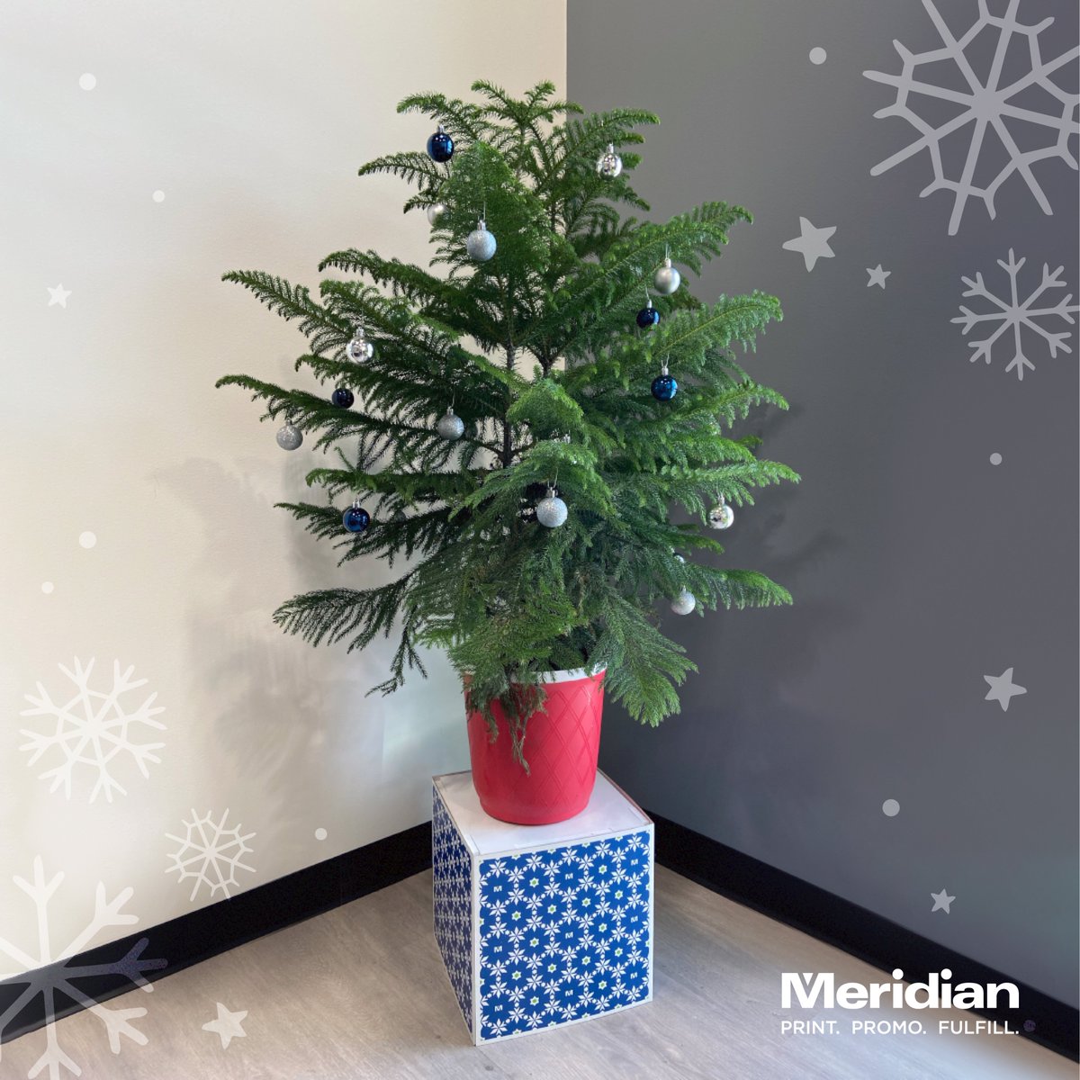 Meridian_Direct's tweet image. 🎧🎄Alexa, play “It’s Beginning To Look A Lot Like Christmas” by Bing Crosby.
____
#meridiandirect #wearemeridian #happyholidays #christmas #festive #ChristmasMusic