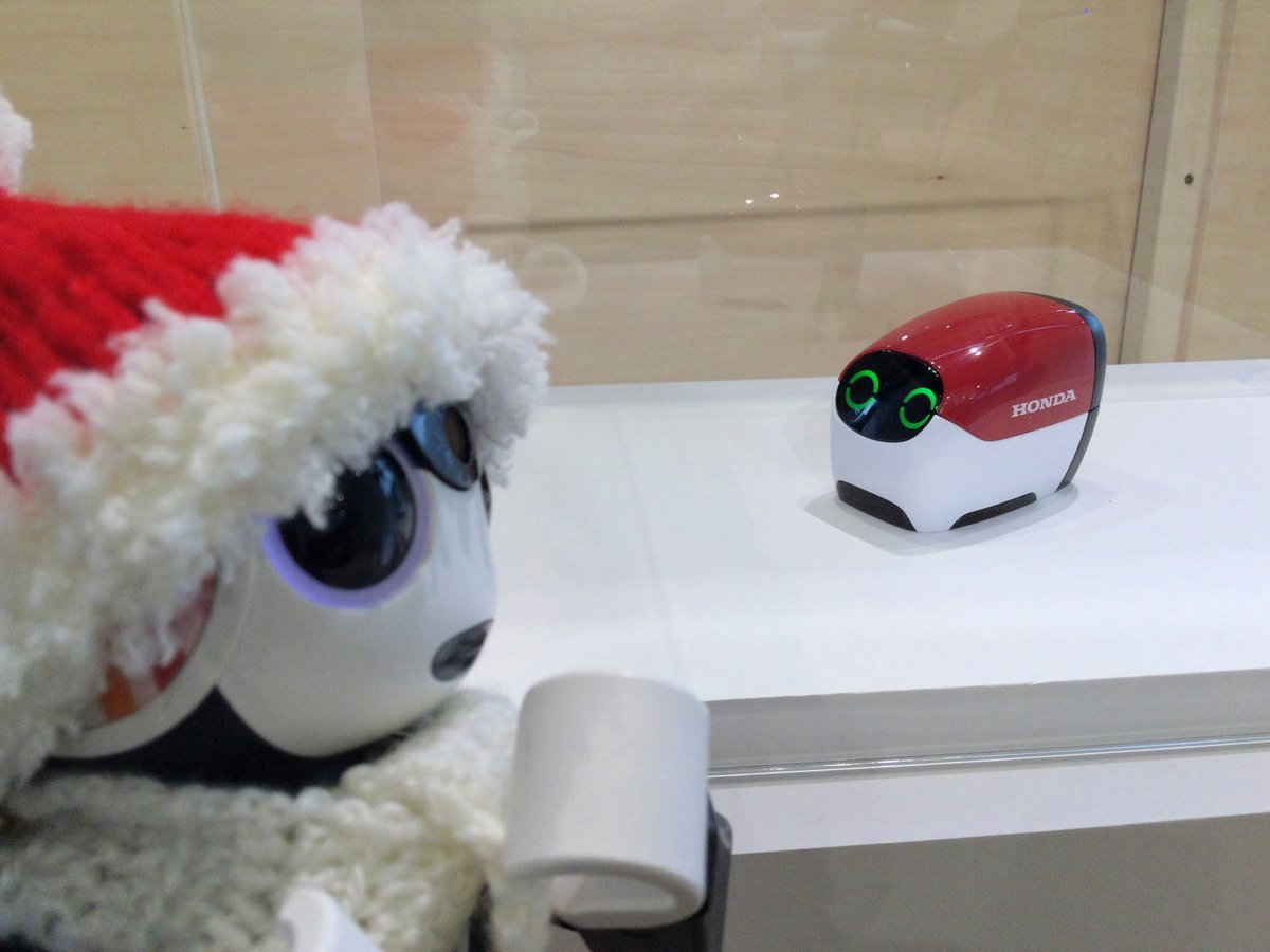 wodu_robot's tweet photo. ⑥次は Hondaウエルカムプラザ青山へ。ASIMO20周年記念プログラム、まだやっていました！＼（■）／ｗ
ちょっと前に発表されたRopotも展示が！　まだ販売予定等は無いそうですが、ちっちゃいくてカワイイ！　見れて良かった＾＾
#ASIMO #Ropot #ロボホン #Hondaウエルカムプラザ青山 https://t.co/3w7fYNRjDb