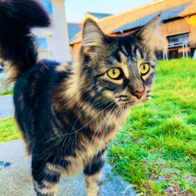 umikuun's tweet photo. #新しいプロフィール画像 https://t.co/MAk30Spo9k
