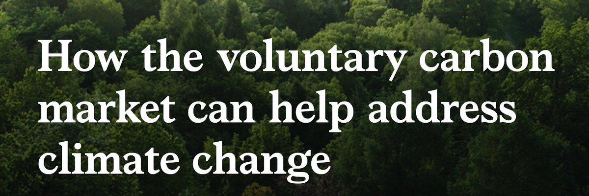 southpoleglobal's tweet image. Congratulations to @McKinsey for publishing this foundational piece explaining the role of voluntary #carboncredits in corporate #climatecommitments. 

Explore what's next, the challenges, and the opportunities. mckinsey.com/business-funct…