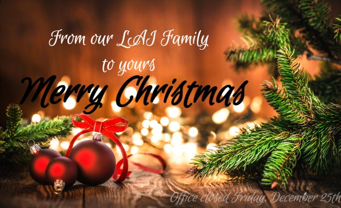 As the time gets closer where we celebrate with family, be it virtually or in person, we here at Lock America want to wish you all a Merry Christmas.
