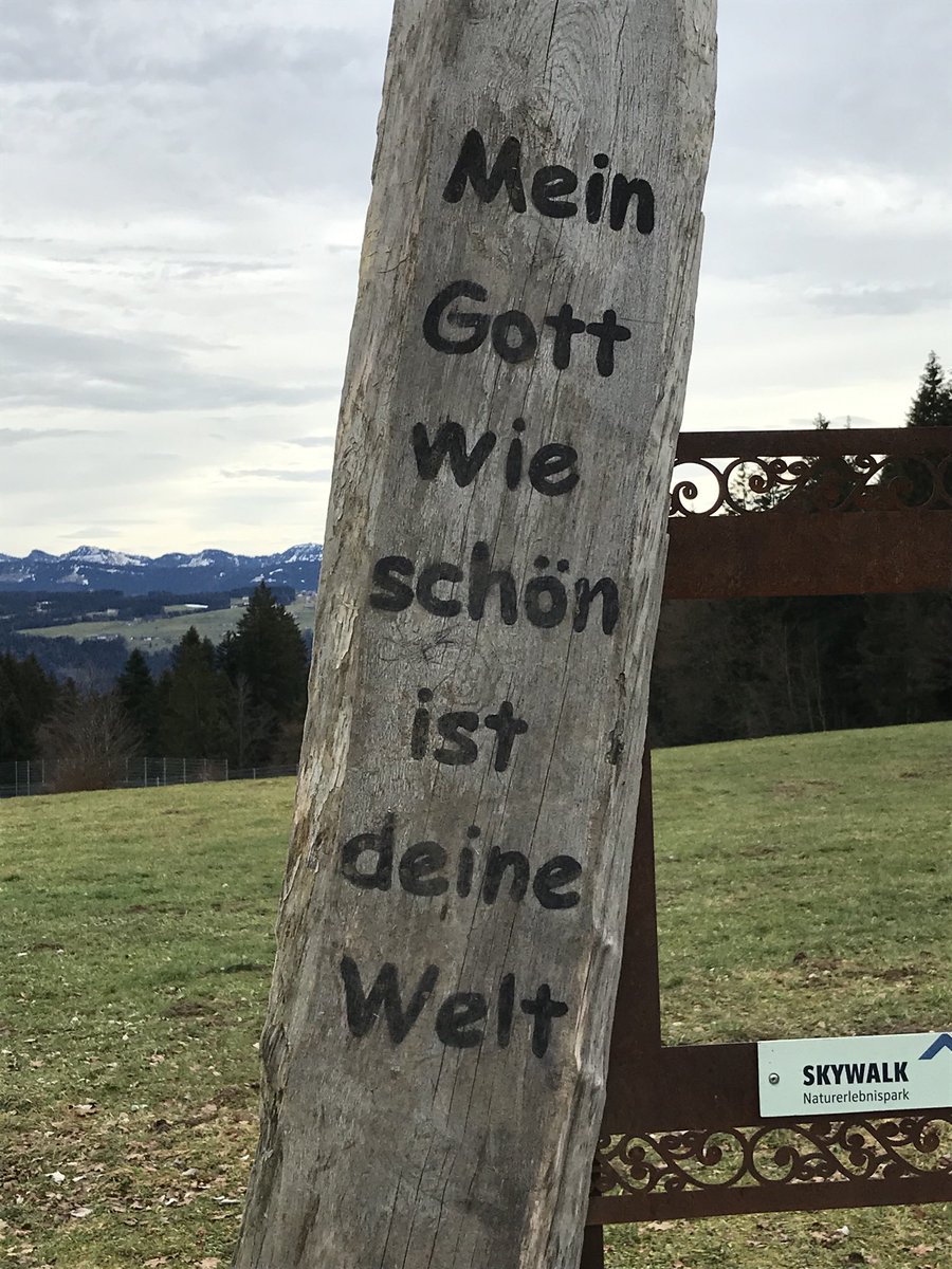 Martin Ilkov (@cosatto) on Twitter photo 