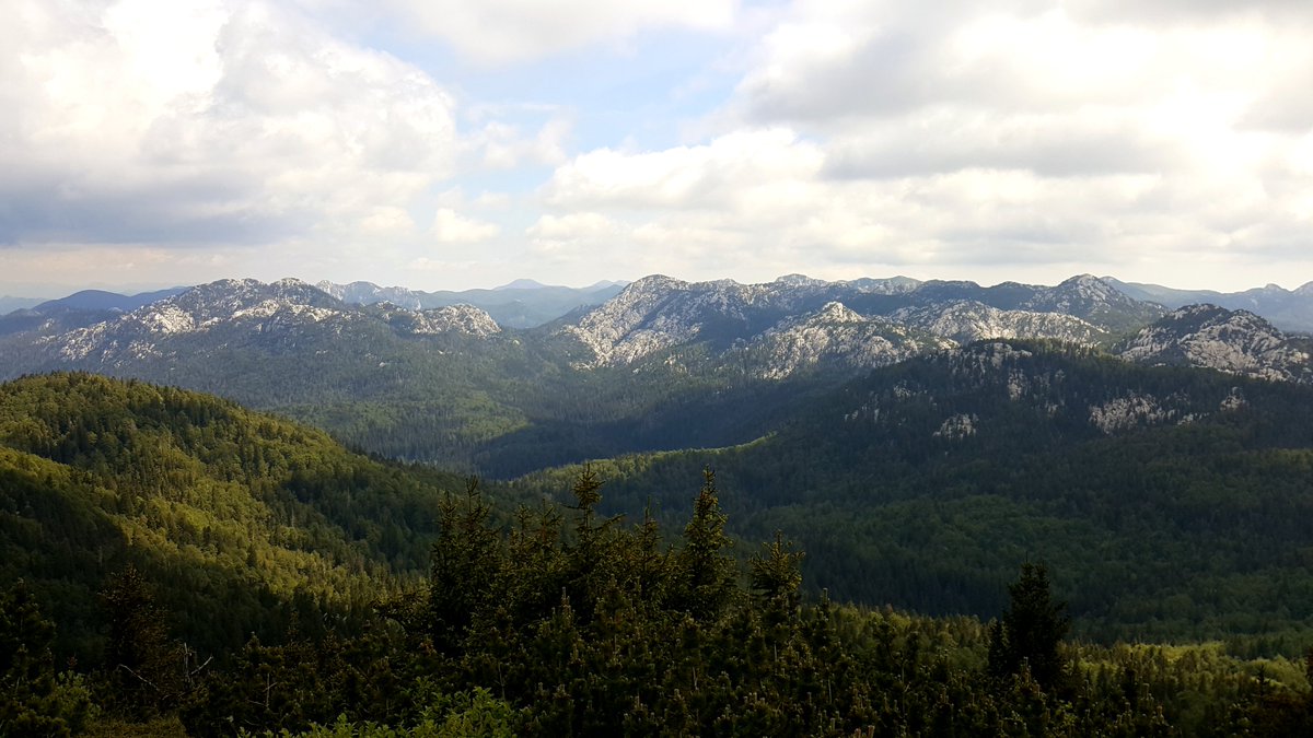 RobertNuli's tweet photo. Pogled na jug s vrha Veliki Zavižanski Pivčevac na Velebitu #velebit #velikizavižanskipivčevac #nacionalnipark #sjevernivelebit #zavižan #planinarenje #svihrvatskivrhovi #robertnuli #planinar #hiking #hikingincroatia #croatia #nationalpark #croatiafulloflife #croatiafullofnature https://t.co/Y9dQz5WQkH