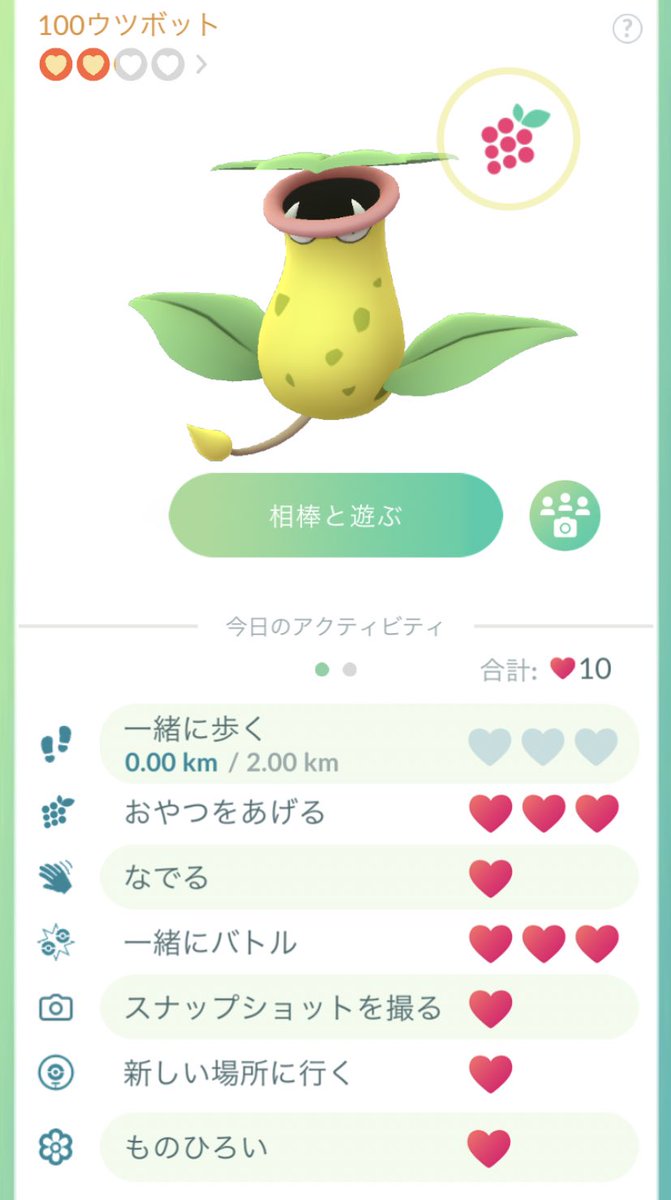 マイナーパ マイナーパ