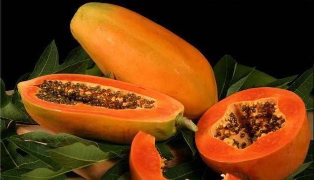 RatanAyurvedic's tweet photo. #FoodforGoodHealth
Papaya has #antiinflammatory n #anticancerous properties
People affected with #osteoporosis #arthritis n #oedema should consume it regularly
#RatanAyurvedic #Tips #Healthy #Diet #HealthyLiving #GoodFood #HealthCare #foodforFitness #FoodkeepsyouHealthy #SelfCare https://t.co/4Psaeq1blh