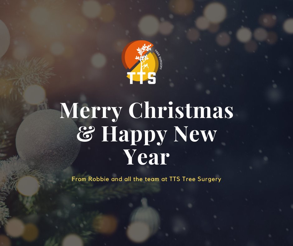 TtsTree's tweet photo. Merry Christmas &amp; Happy New Year from all the team at TTS Tree Surgery. Thank you to all our customers, suppliers and friends for your continued support!🎄
#MerryChristmas #PerthUK #Perth https://t.co/mT6XQVE4mF