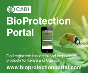 StandardKenya's tweet photo. To learn more about bio-protection, click https://t.co/1wGT4zJtdg
#BioProtectionPortal https://t.co/Umb5442zDL