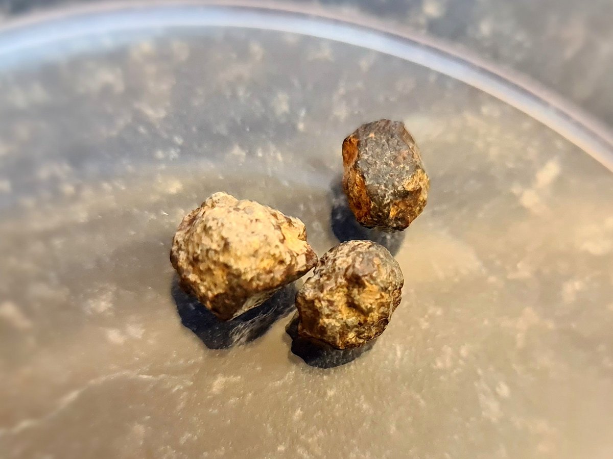 Meteorites! These three fragments from the NWA 869 meteorite which peppered a field in Africa at some point in the past. These fragments formed around 4.4 billion years ago in the Asteroid Belt and have travelled through space for the entire history of the Solar System. 