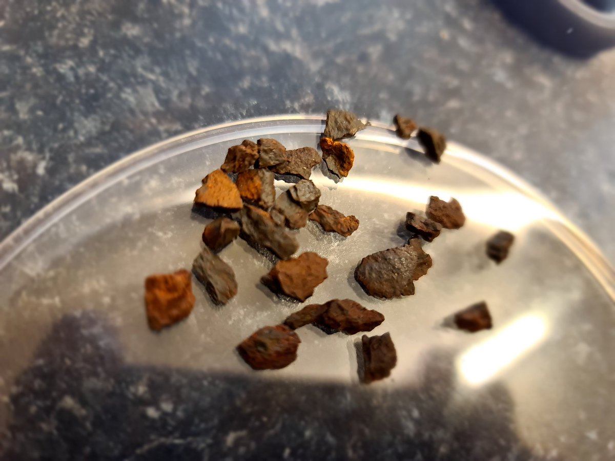 These are part of the Nantan Meteorite that fell on China in 1516. These iron rich fragments originated from within now long-gone dwarf planets from the asteroid belt that were big enough to have molten interiors. Rocks like these formed the Earth.