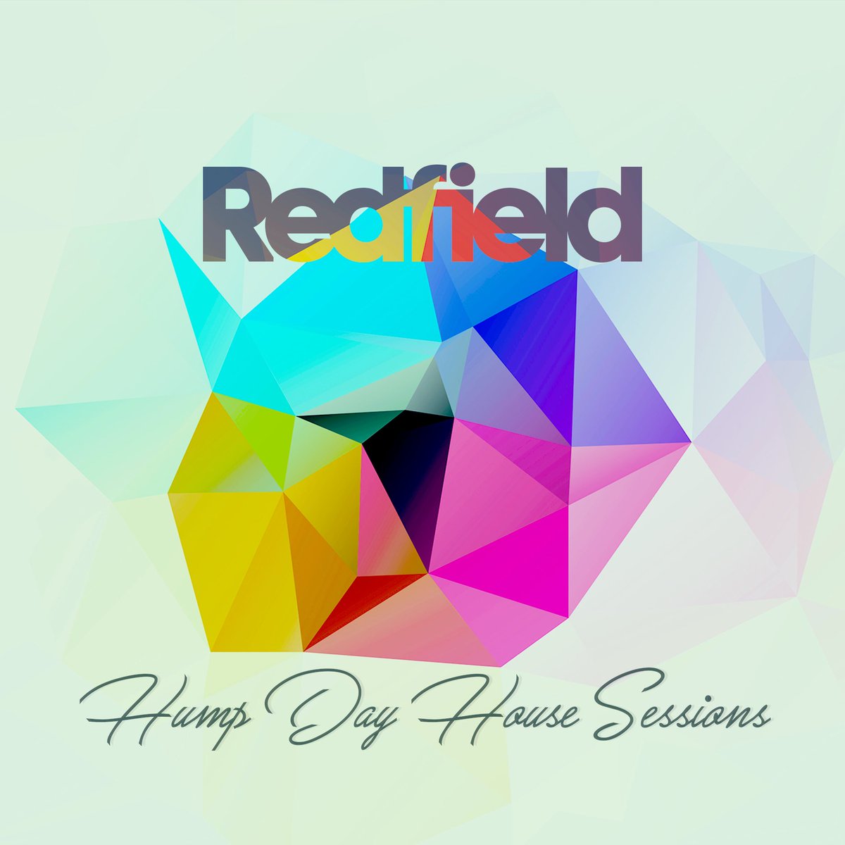 Thank you so much to everyone for their support this year. Doing a penultimate one for 2020 tonight of all my favourite tune plus some unreleased bits, then next week a Best of HDHS 2020. Head over to twitch.com/Redfielddj or my Instagram tonight at 21:00 GMT