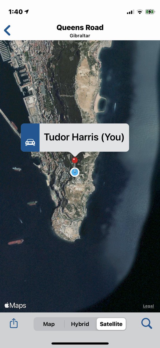 Tudor Harris tweet media