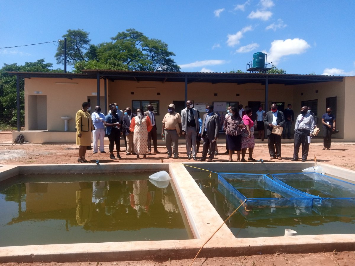 Tabitha_M3's tweet photo. #NRDC Aquaculture Training center &amp; other @WorldFish and partner interventions being commissioned by Minister of Fisheries and Livestock, Hon. Pro. Nkandu Luo MP at NRDC, Lusaka, Zambia
@NetsayiMudege @LMuzungaire @mercysichone3 @KakwashaKeagan @MutakelaMutake1 https://t.co/1K69wzZ2yp