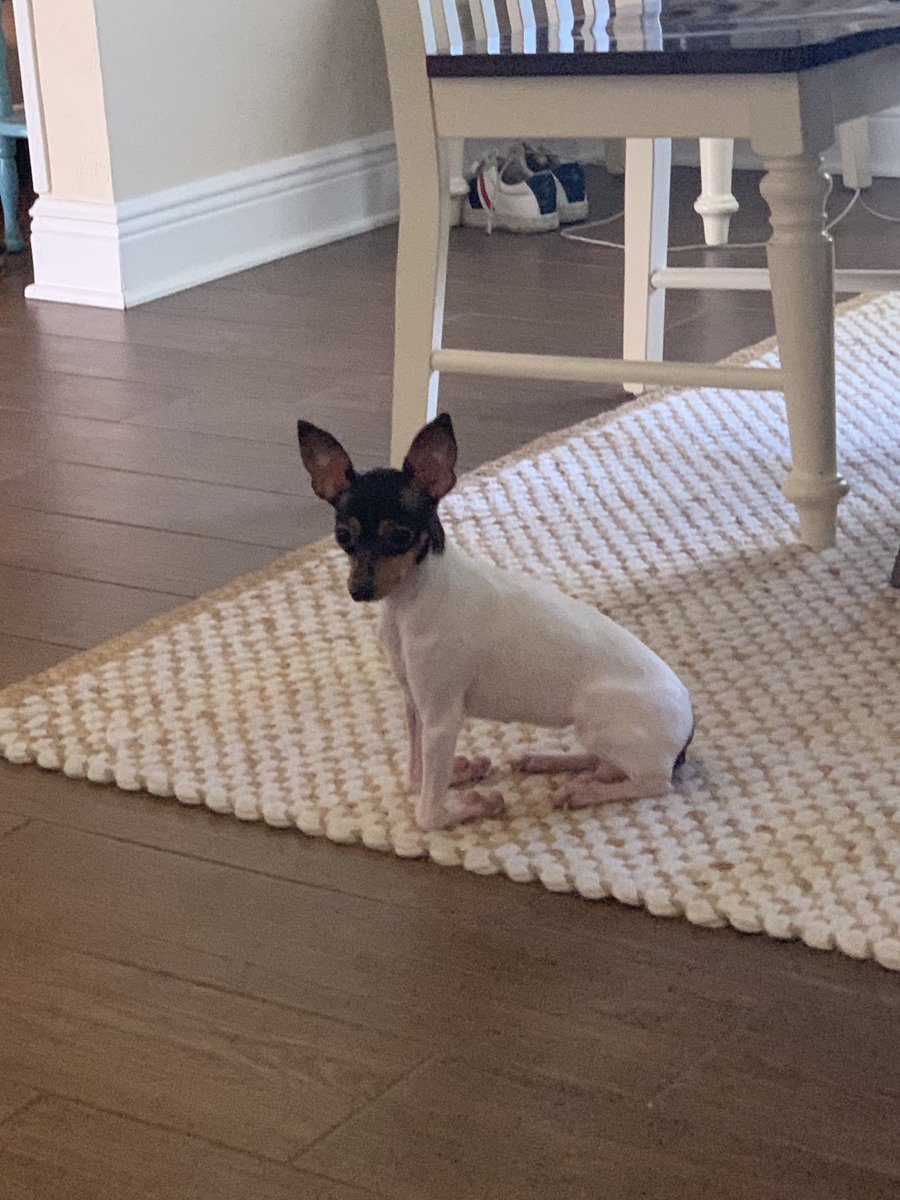 friezacrane's tweet photo. Why does she sit like this.. stop it https://t.co/5Lm5vG6upQ
